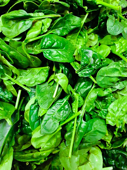 can-you-juice-spinach-best-juicer-for-leafy-greens